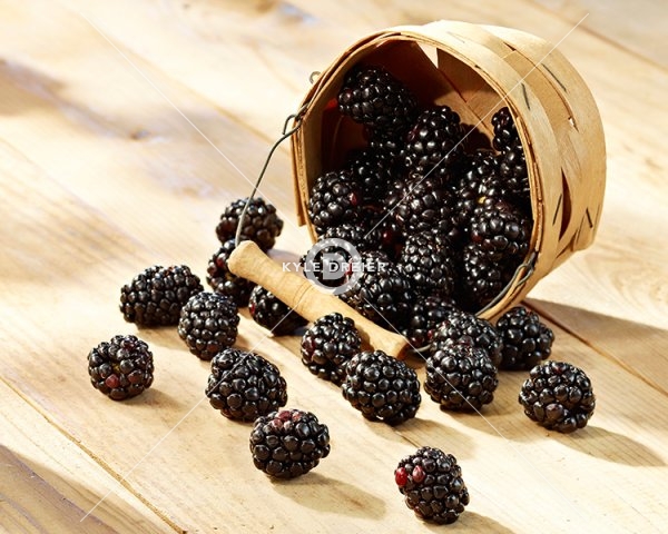 Spilled Blackberries