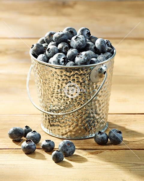 Blueberries in a Bucket