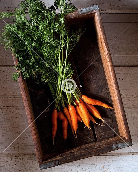 Carrot Box