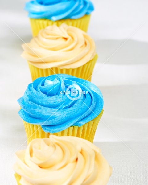 Picnic Cupcakes