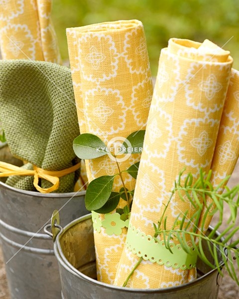 Picnic Napkins