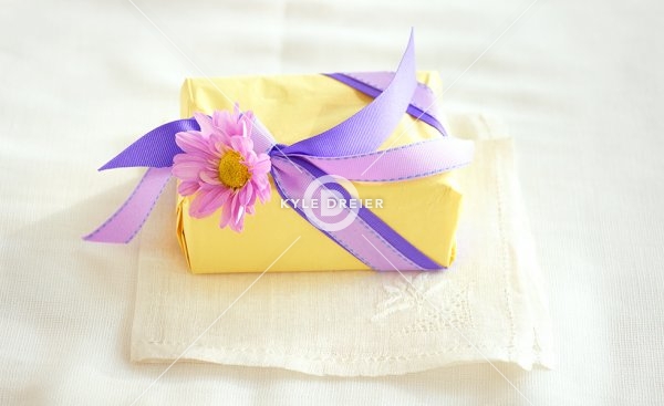 Shower Celebration Gift