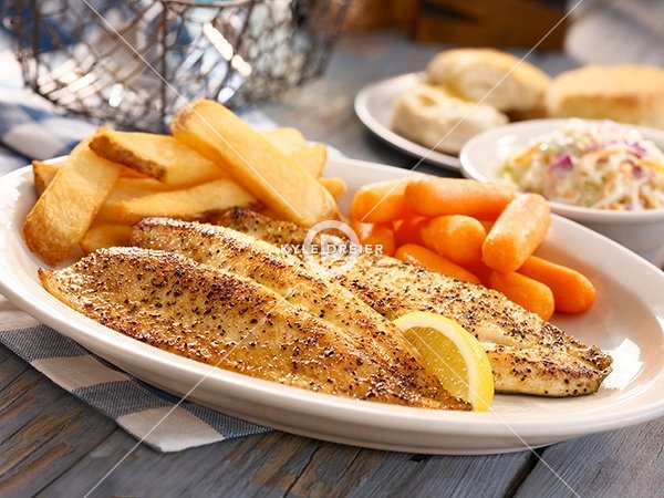 Rainbow Trout