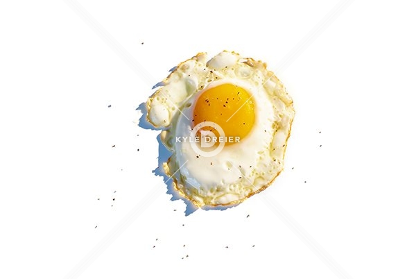 Egg
