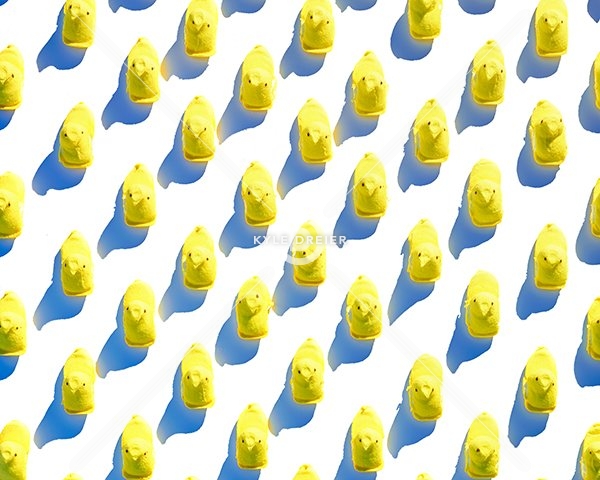 Yellow Peeps
