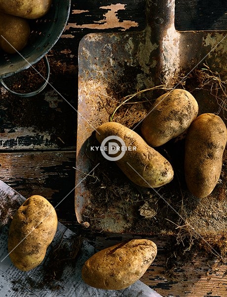 Potatoes