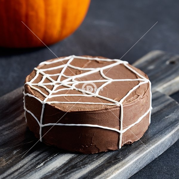 Halloween Spider Web
