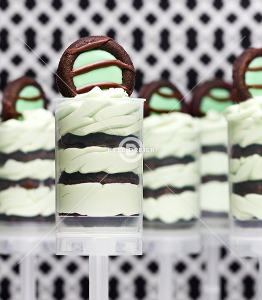 Mint Chocolate Push-Up Pops