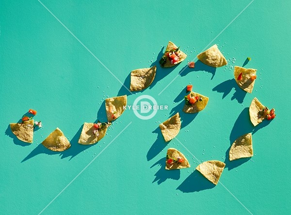 Organized Chips