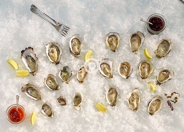 Oysters