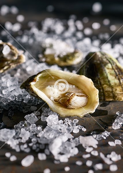 Oysters