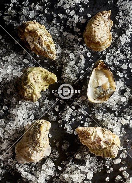 Oysters