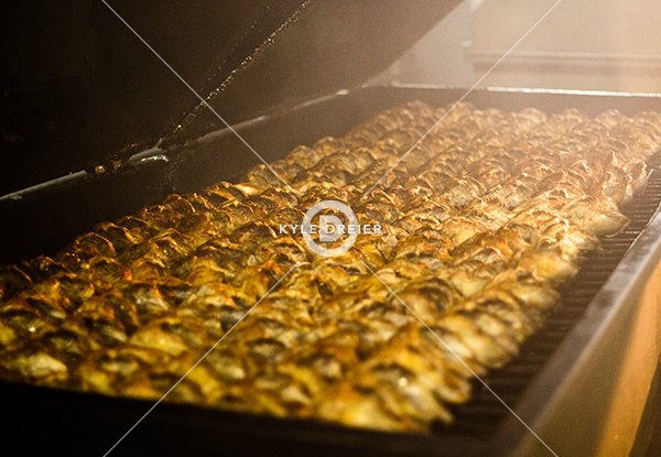 Chicken Grilling