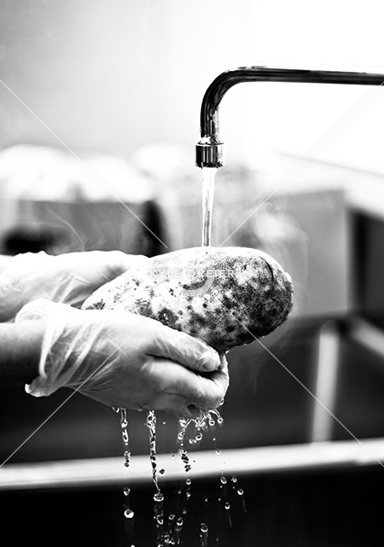 Washing Potato