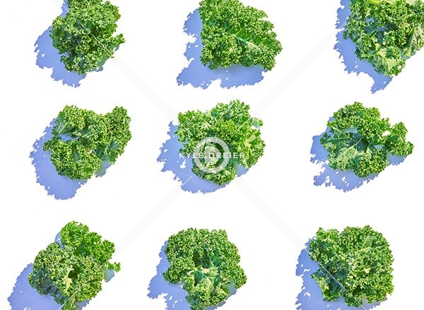 Kale
