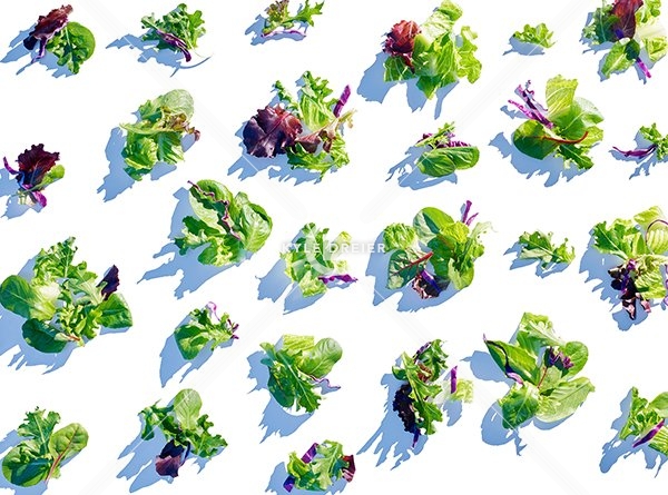 Salata mix