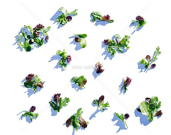 Spring Mix