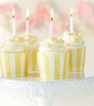 White Chocolate Ganache