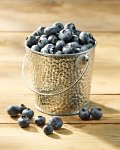Blueberries in a Bucket