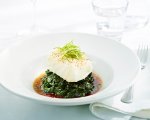  Sea Bass