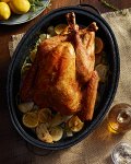 Roast Turkey