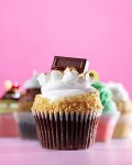 S'more Cupcake