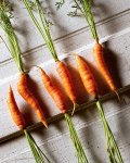 Carrot Door