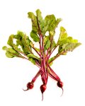 Beets on White