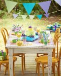 Birthday Party Cake