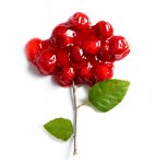 Cherry Tree
