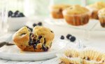 Blueberry Muffin
