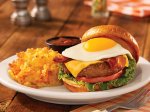 Sunny Cheeseburger