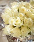 Holiday Party Roses