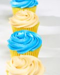 Picnic Cupcakes