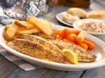Rainbow Trout