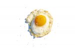 Egg