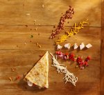 Quesadilla