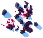 Smashed Blackberries