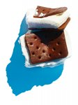 Icecream Sandwich Solo