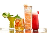 Drink Cover