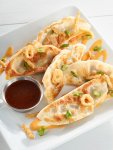 Cheesesteak Potstickers