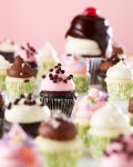 Mini Cupcakes