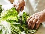 Salad Prep