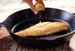 Haddock