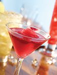 Frozen Martini