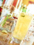 Patron Margarita