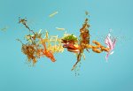 Fast Food Flying