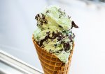 Mint Chocolate Chip