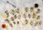 Oysters