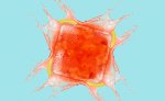Splash Square